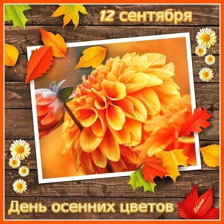 12 сентября День осенних цветов. Представьте, что Осень — это добрая художница. Она бер...