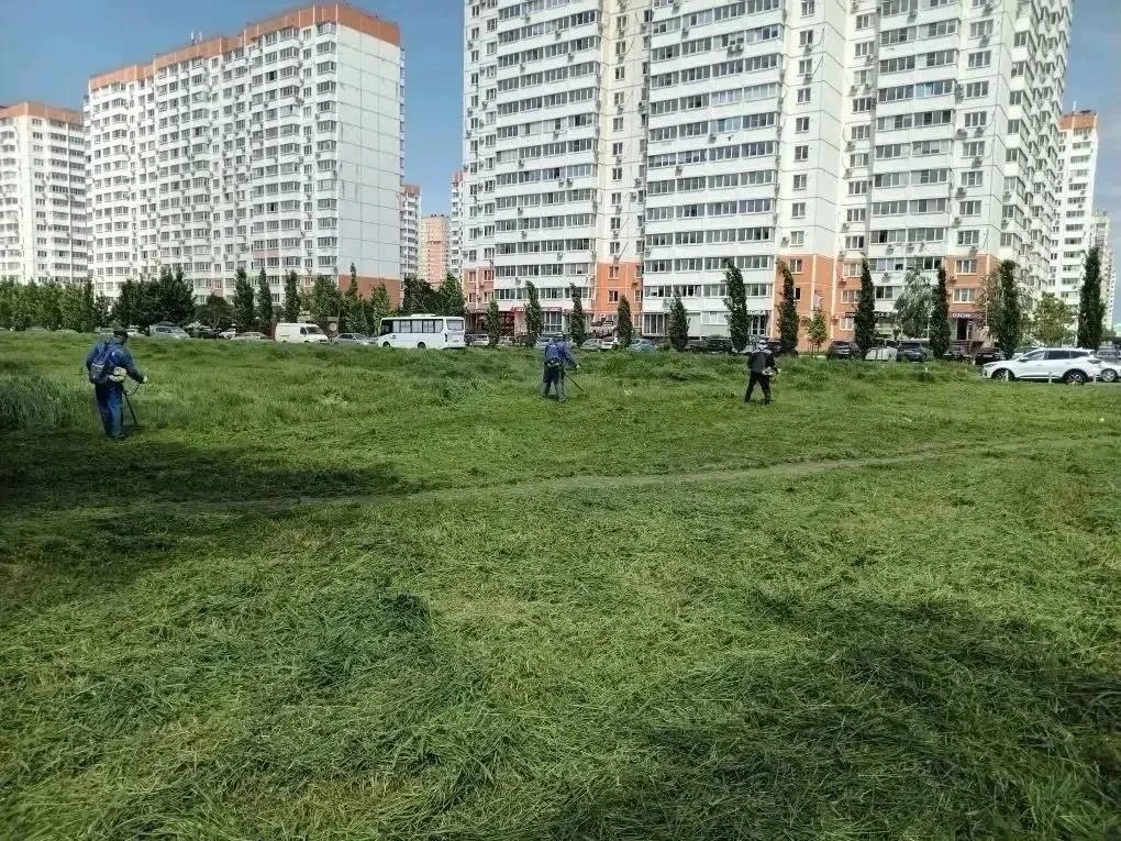 🚜 Более 6000 гектаров сорной травы скосили в Краснодаре. 

Особое внимание уделяют частному сектору