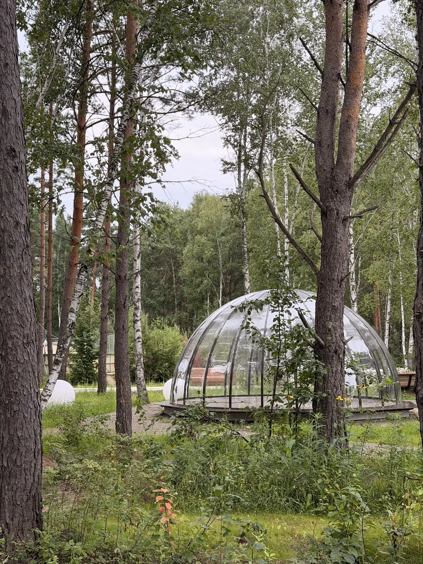 Как хорошо август начался🍃