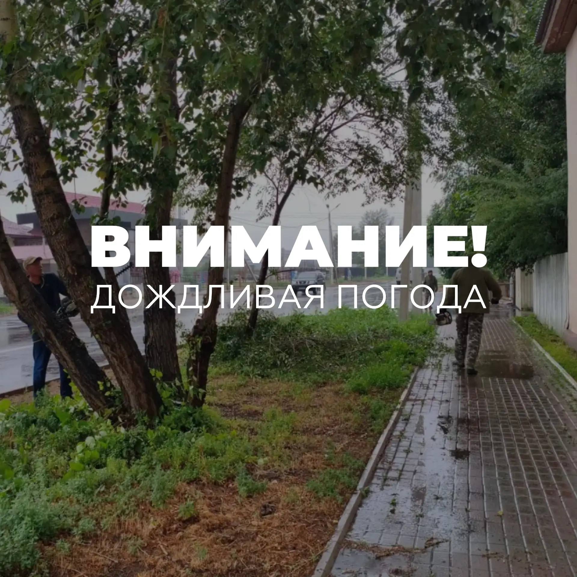 В городе снова ожидается дождливая погода