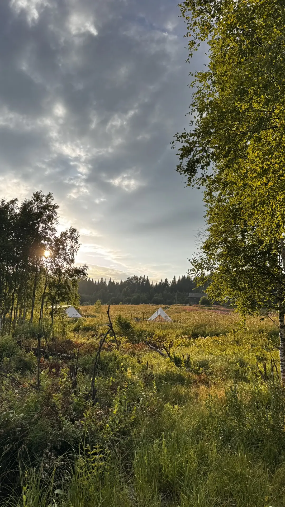 Провели выходные в Карелии💚