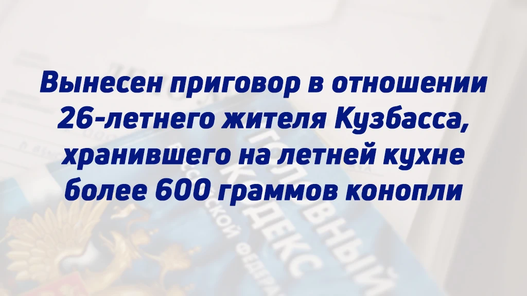 ВЫНЕСЕН ПРИГОВОР В ОТНОШЕНИИ 26-ЛЕТНЕГО ЖИТЕЛЯ КУЗБАССА, ХРАНИВШЕГО НА ЛЕТНЕЙ КУХНЕ БОЛ...