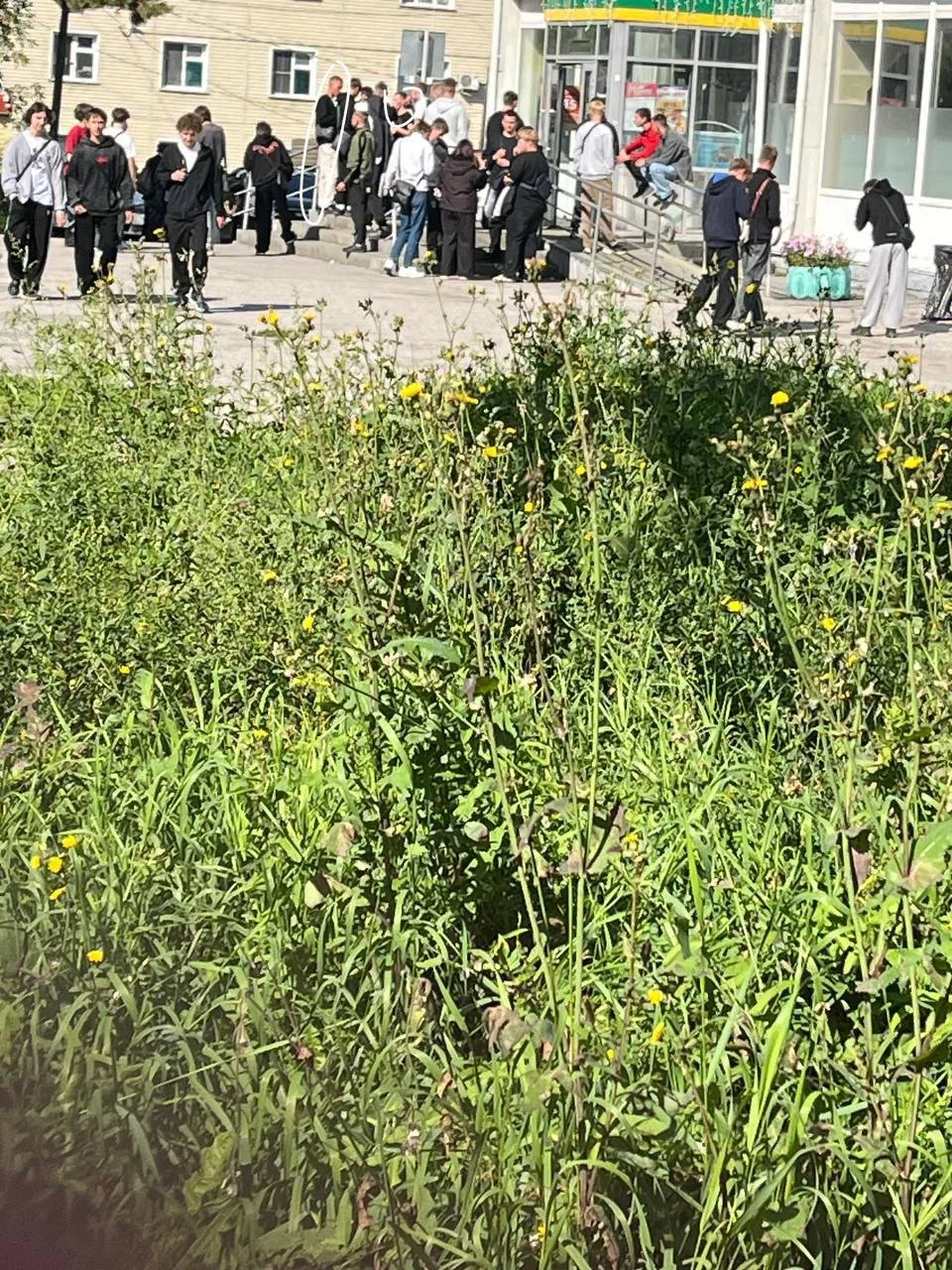 Понравились мальчики