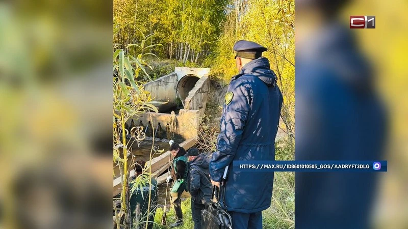 Очищение протоки Бардаковка от нефтепродуктов организовали в Сургуте