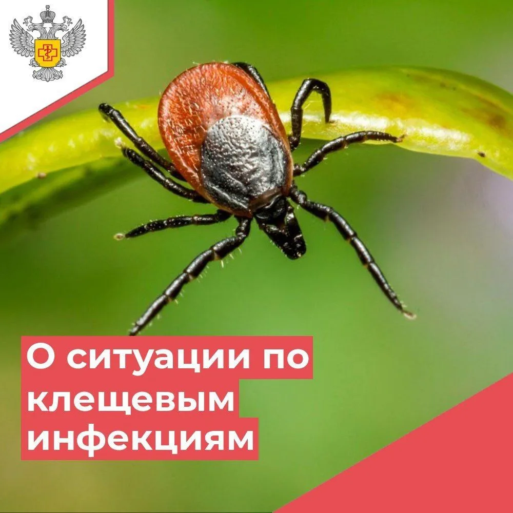 ✅Управлением Роспотребнадзора по Тверской области продолжается проведение еженедельного оперативного