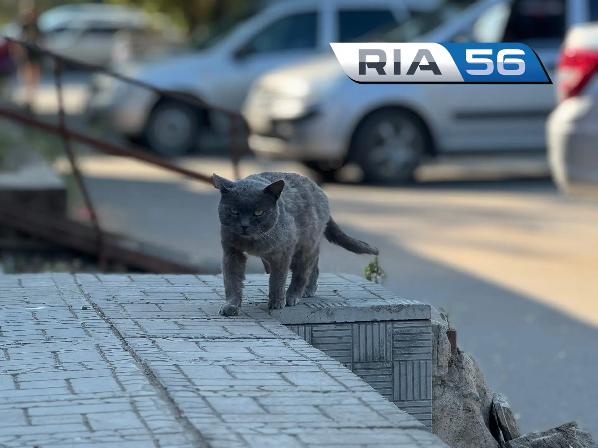 🌤️ Тёплая пятница ожидается в Оренбуржье