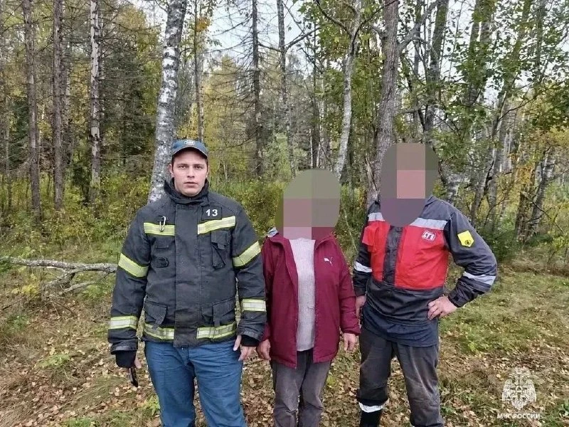 В Тверской области вывели заблудившихся из леса