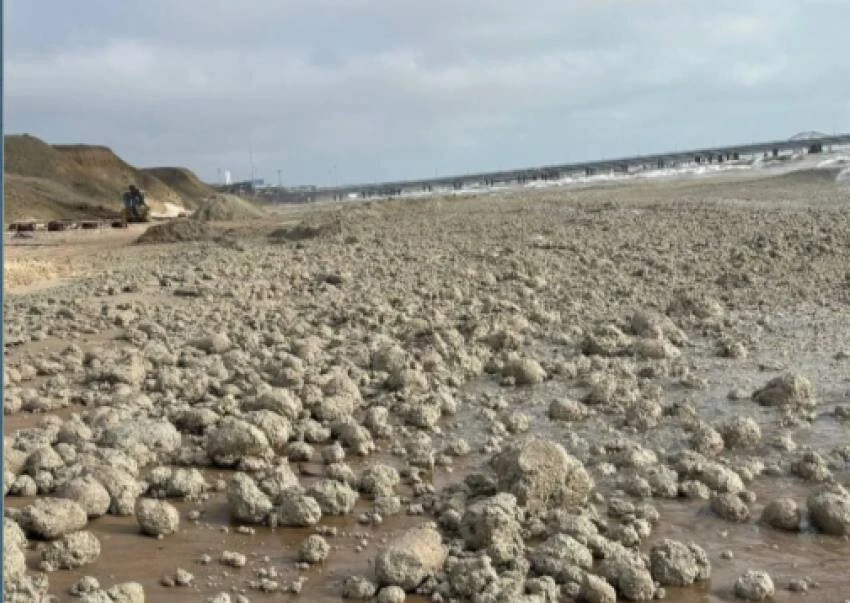 На Чёрном море волонтёры собирают тонны жировой смеси  На побережье в районе поселка Волна (от мыса 