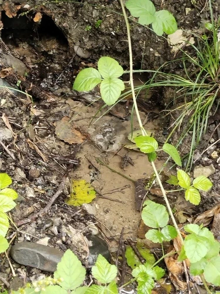 💦 В Юртовском переулке уже больше месяца течет чистая вода. 

Утечка чистой воды на фоне отключений