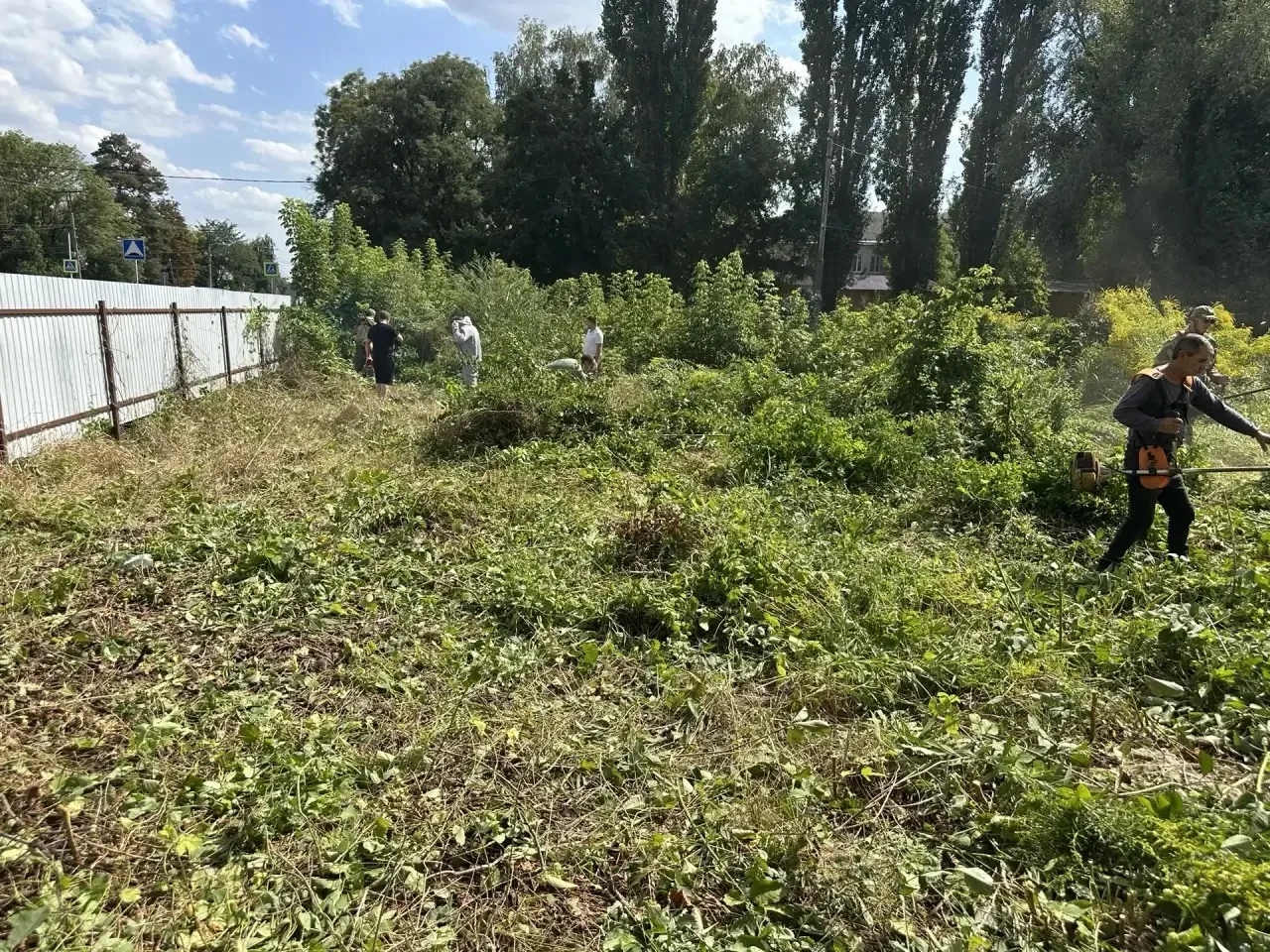 Сотрудники администрации Новокубанского городского поселения Новокубанского района прин...