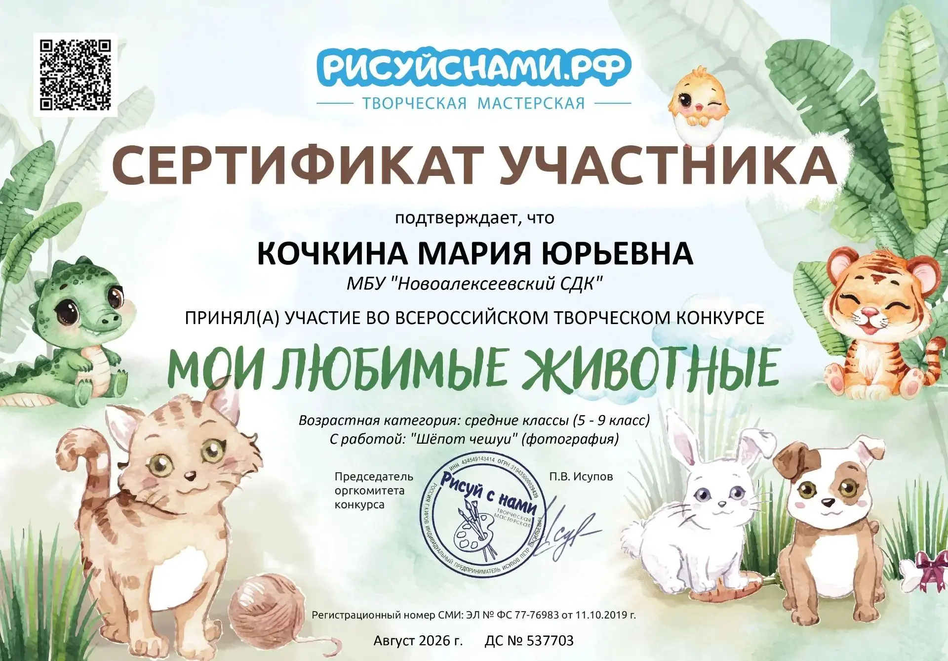 Медиа публикации