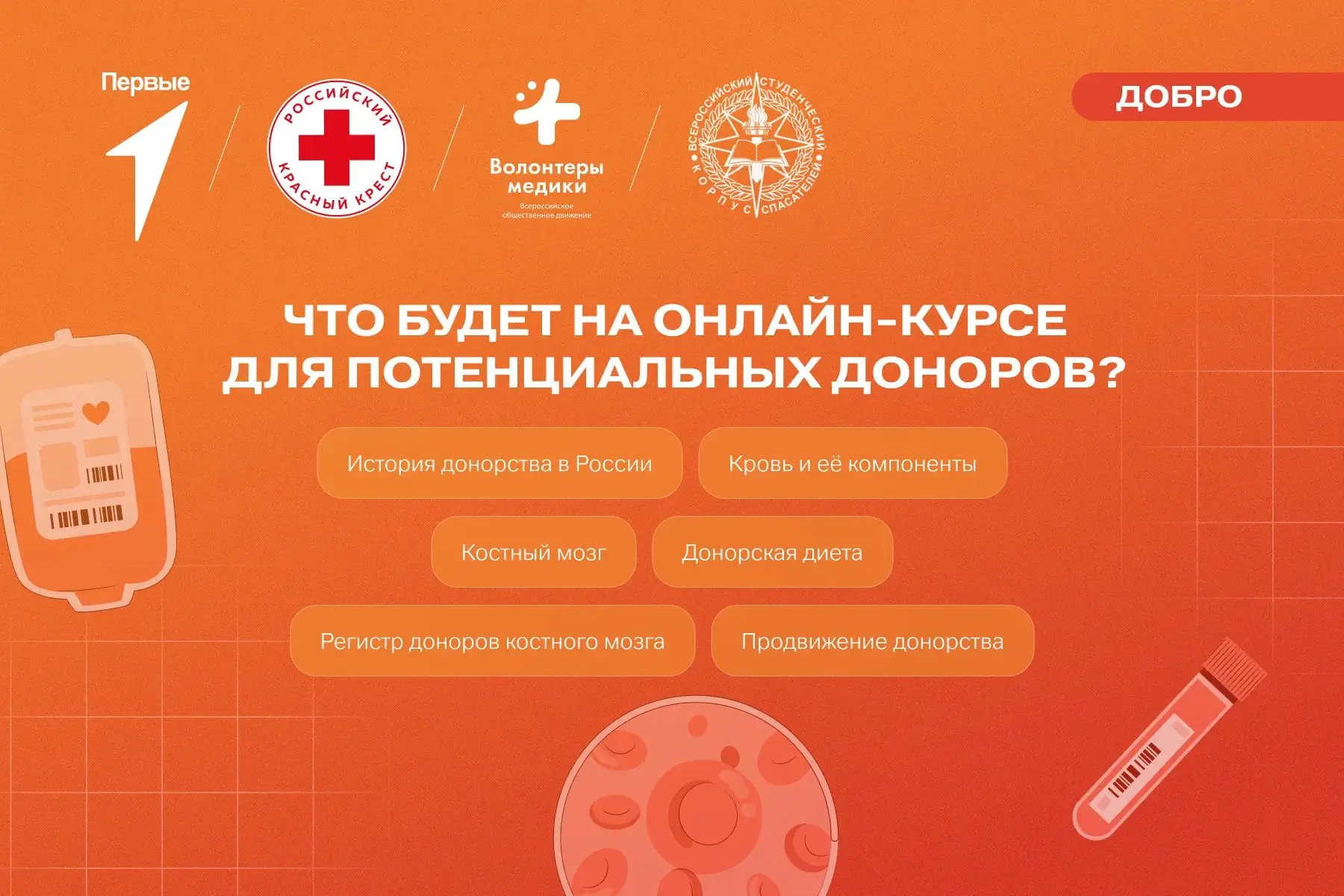 🩸 Донорство — это шанс помочь!