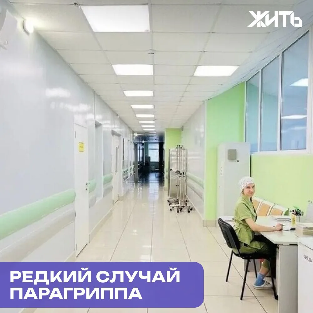 Владивостокские врачи спасли 12-летнего мальчика с парагриппом

Обычная вирусная инфекция едва не об