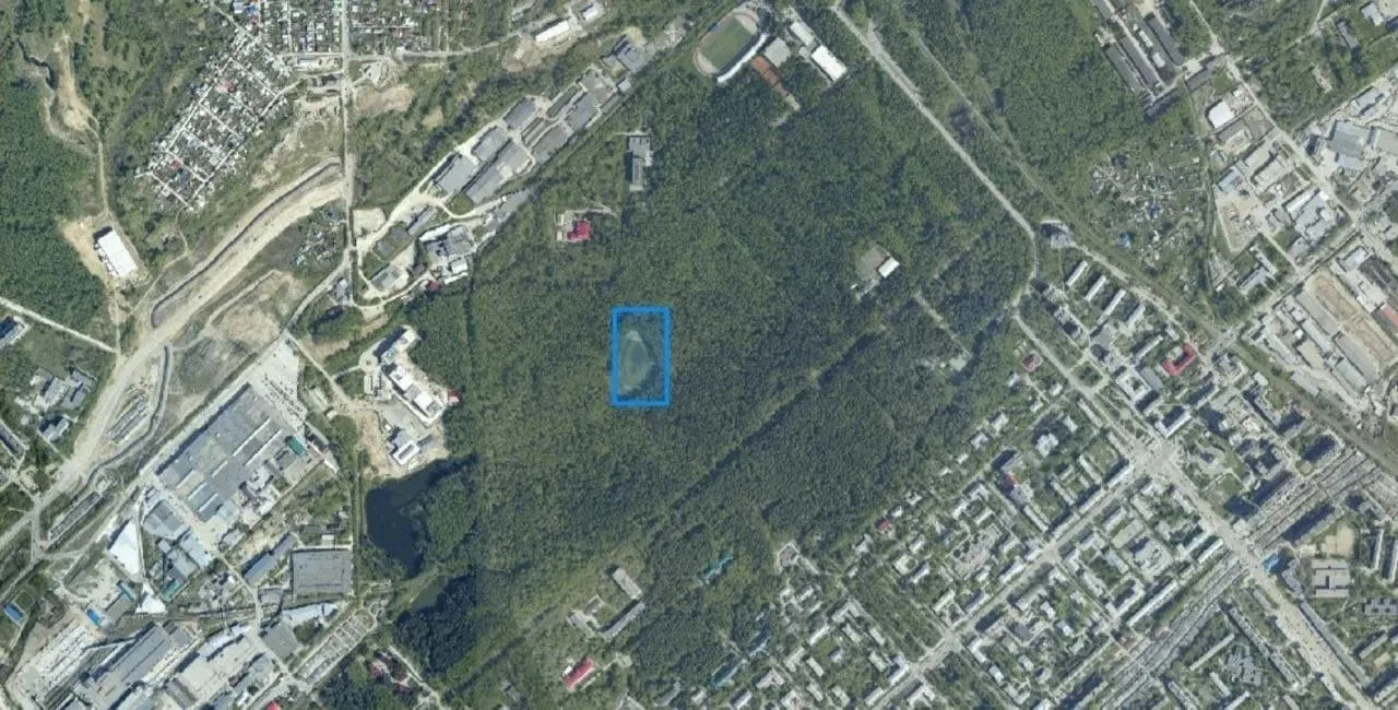 🌲 141 дерево спилили в парке «Сосновый бор»