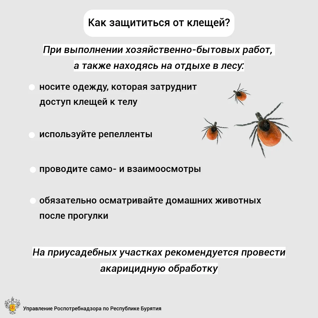 Осенью клещи все еще активны!