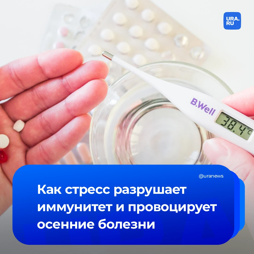 Виноват стресс: почему холод — не главная причина осенней простуды