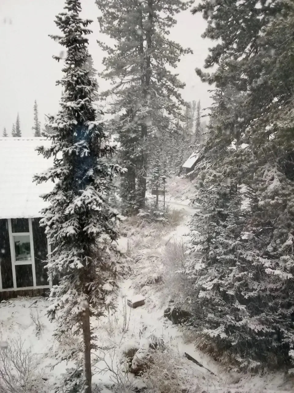 ❄️ Первый снег выпал под Красноярском и на юге края