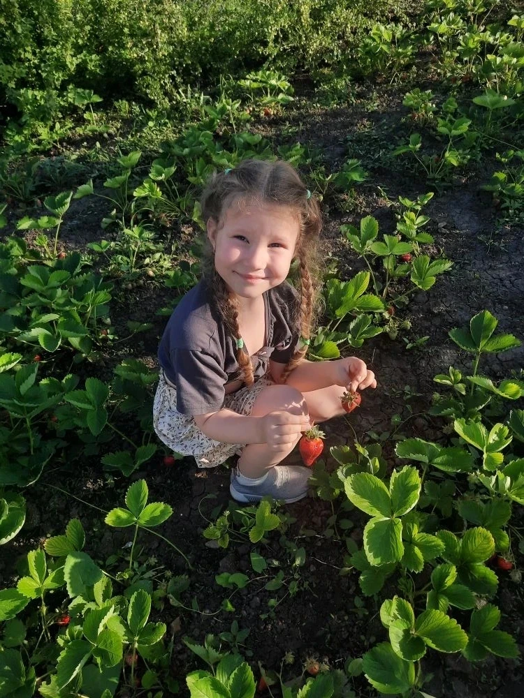 Всемирный День Клубники🍓 отмечается ежегодно 27 июня. Это прекрасный повод собраться в...