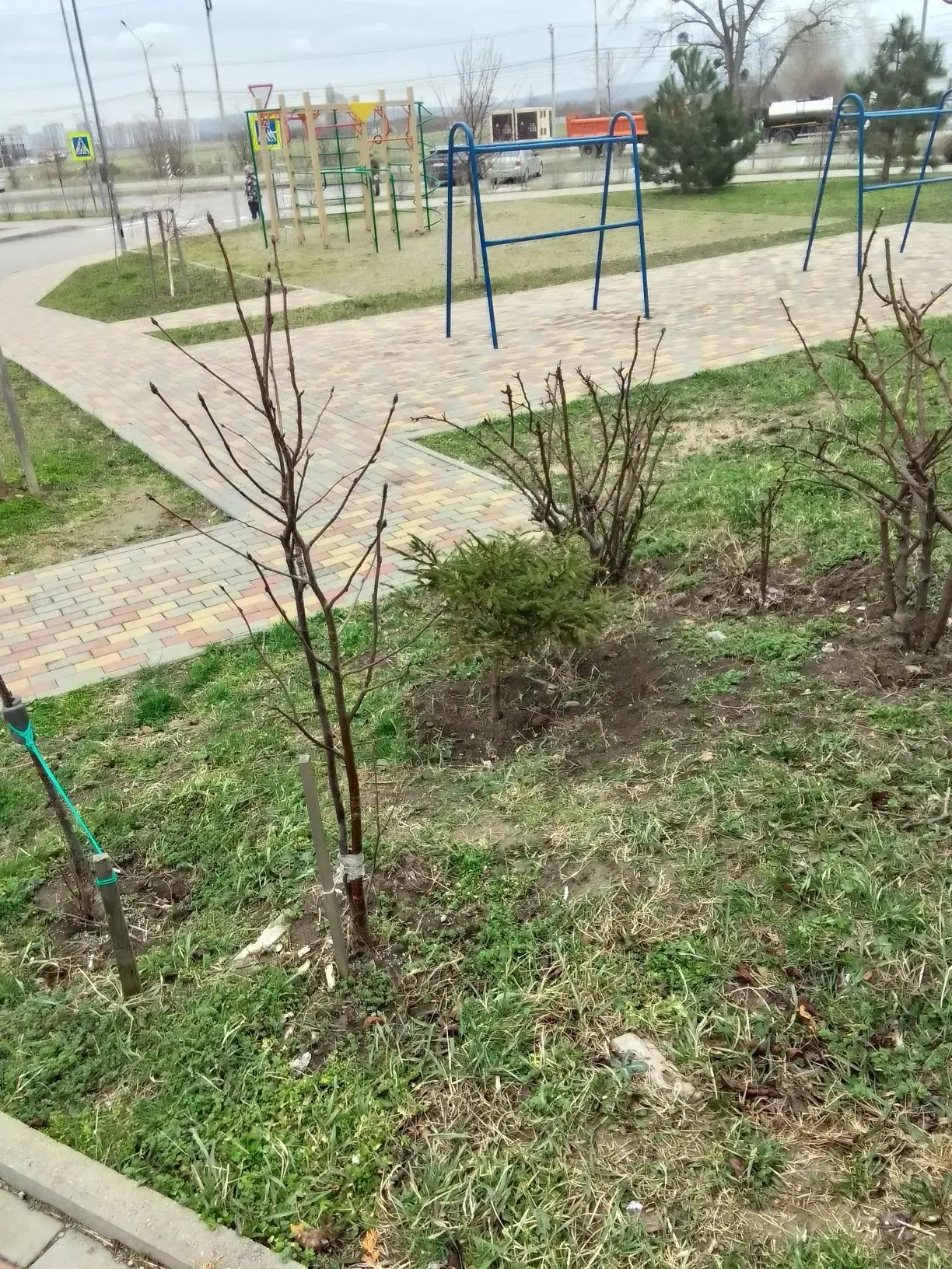 Уважаемые жители! По адресу: адмирала Пустошкина.. ✅📸Информируем вас о проведении комплекса мероприя
