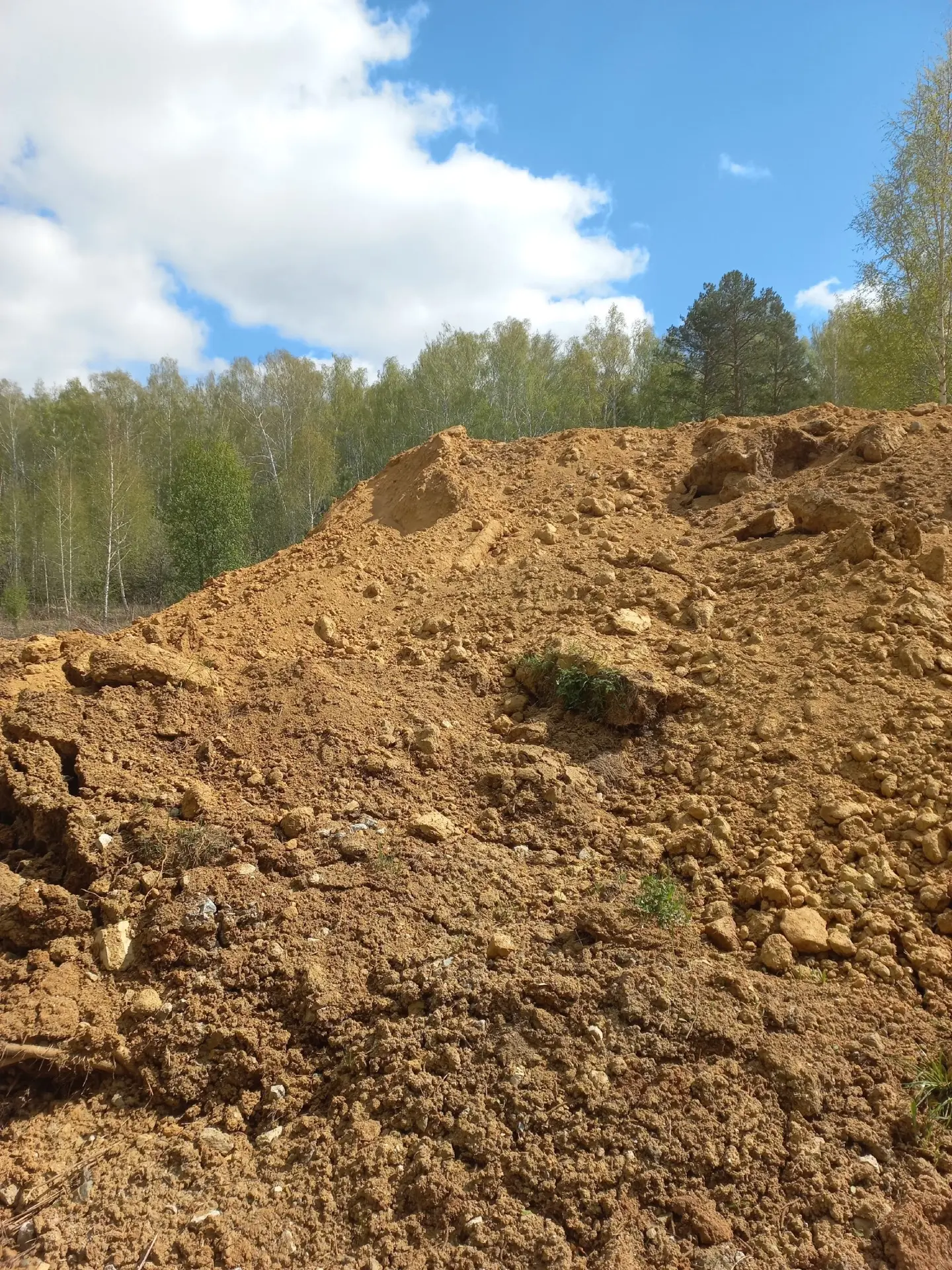 За водоканалом какой-то нехороший человек организовал свалку: горы глины, строительный ...