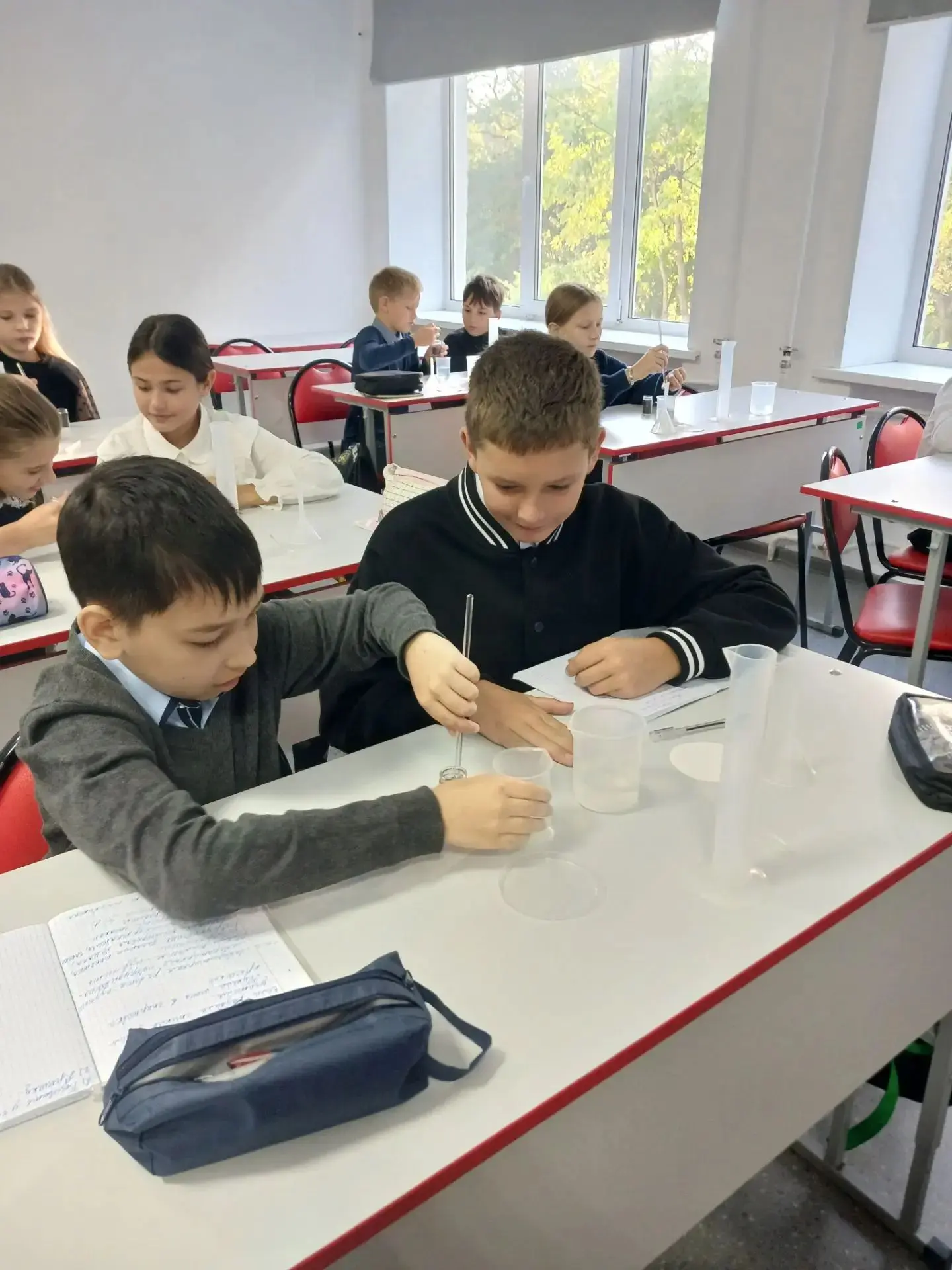 Лабораторная работа в 5 классе: знакомимся с миром науки!