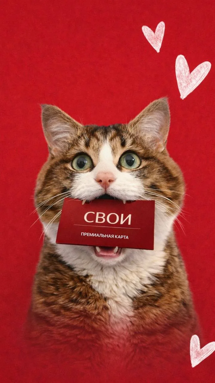 Пришло время экономить… но красиво 😏  Знакомьтесь — единая карта Ильинских Лугов «СВОИ»  Та самая, п
