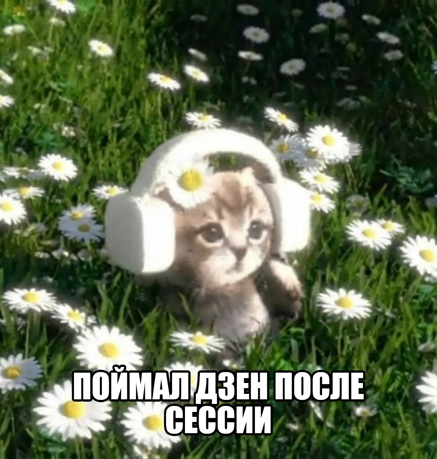 Снова делимся смешными мемами 🤝