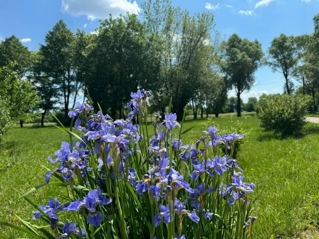 🌞Доброе утро, Пристенский район!

📅Сегодня, в понедельник, 15 июня, по прогнозу регионального отде