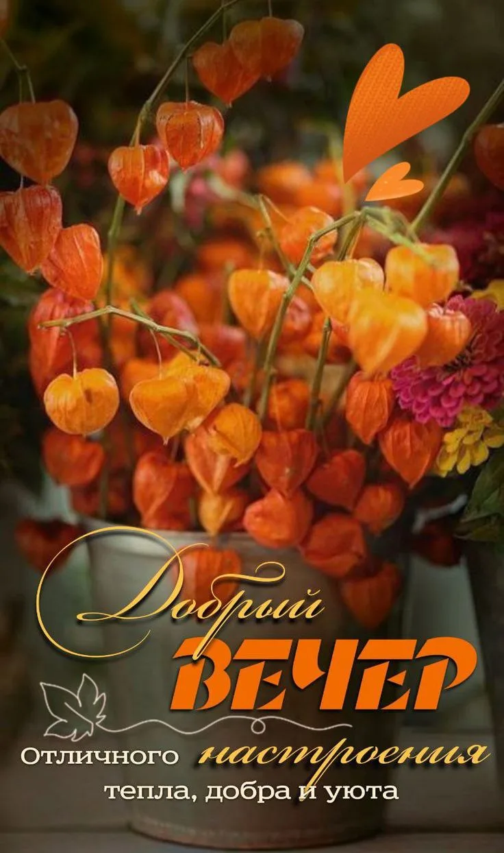 💌Фабрика открыток