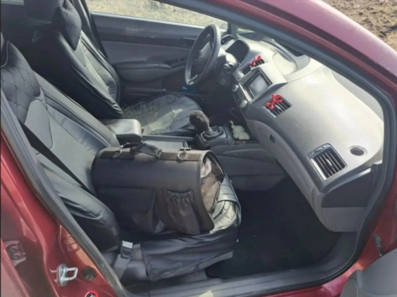 В Красноярском крае пушистый пассажир спровоцировал аварию. Кот выбрался из клетки-пере...