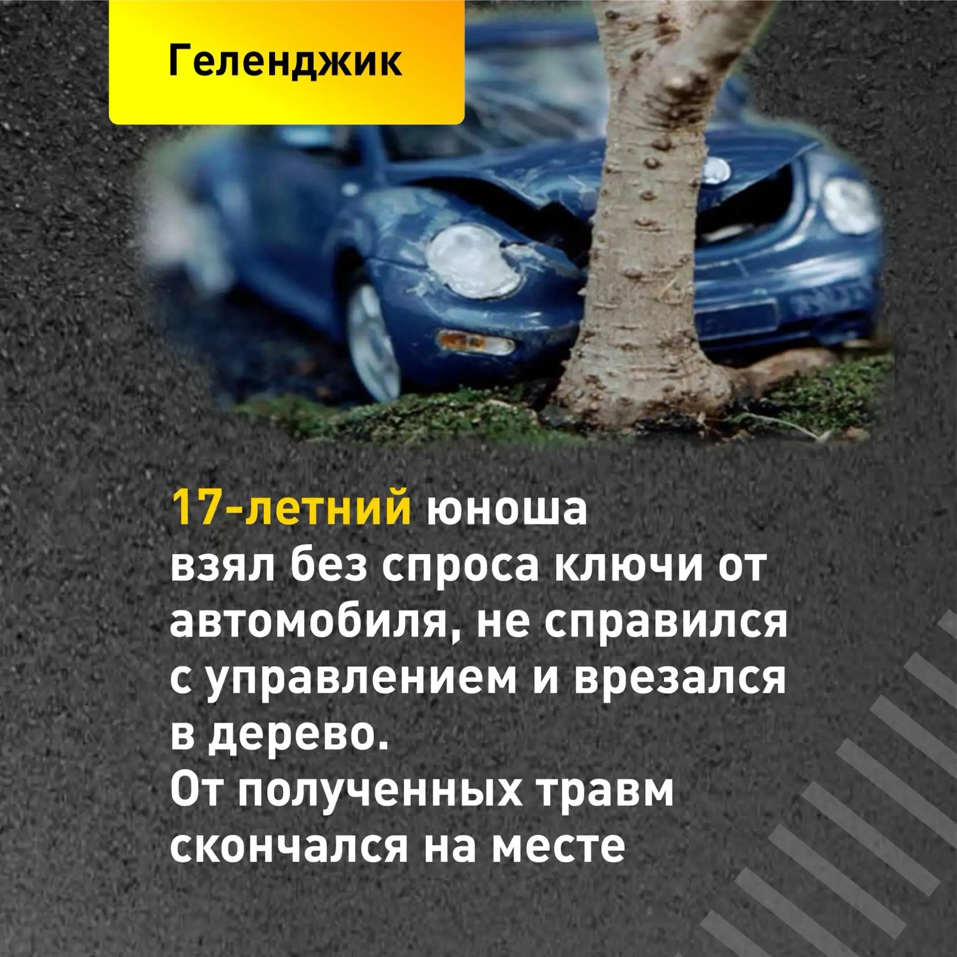 Изображение 3 к публикации «Елена Викторовна Воробьева»
