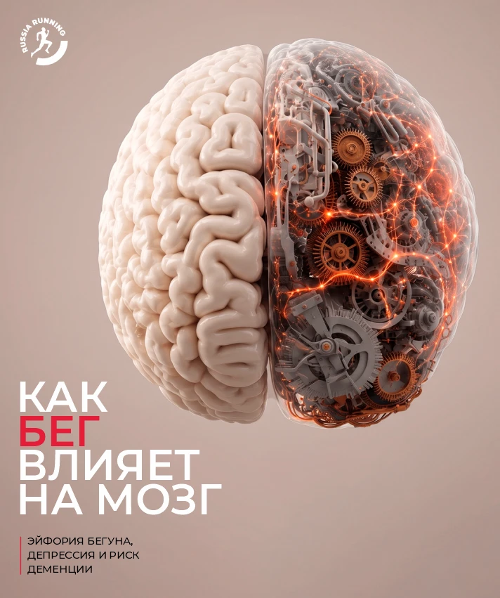 🧠 Бег и мозг: где заканчивается магия и начинается наука
