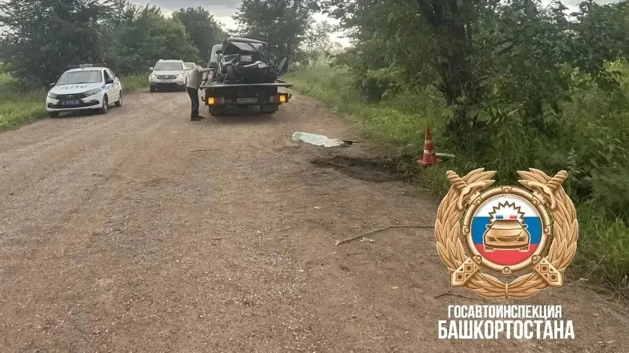 🚨 Легковушка влетела в дерево: в Башкирии трое молодых людей оказались в больнице