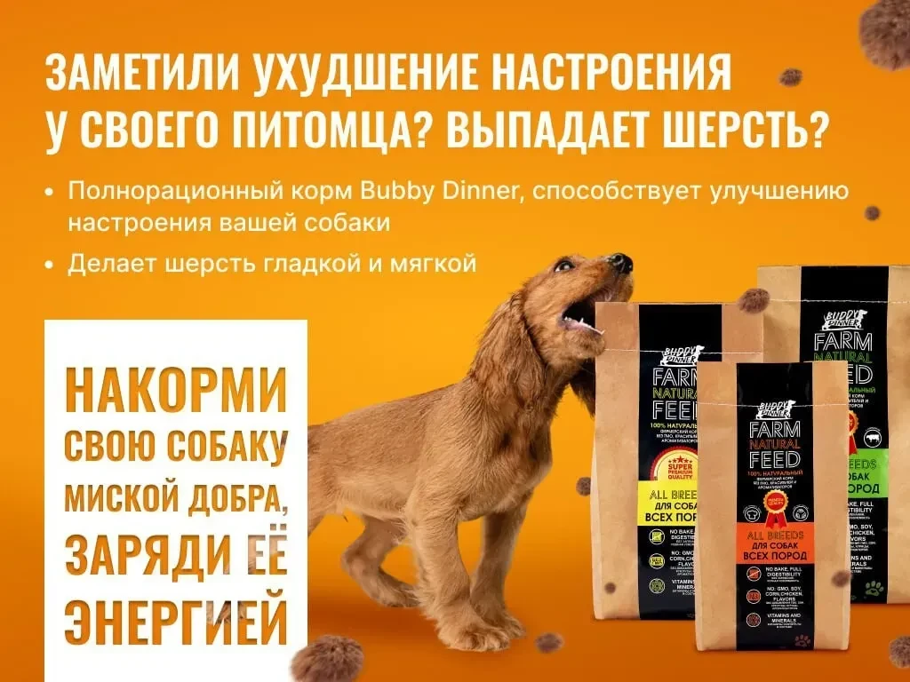 Buddy Dinner всё, что нужно для здоровья и отличного настроения вашей собаки  В Buddy Dinner мы прек