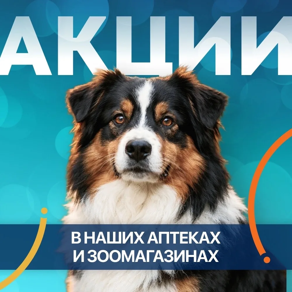 🐾 Акции в ветаптеках и зоомагазинах «Здоровье Животных»