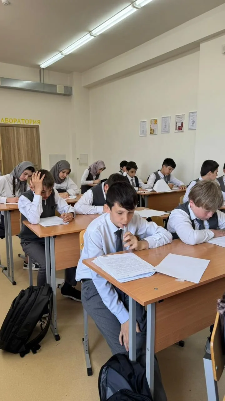 Всероссийские проверочные работы📌