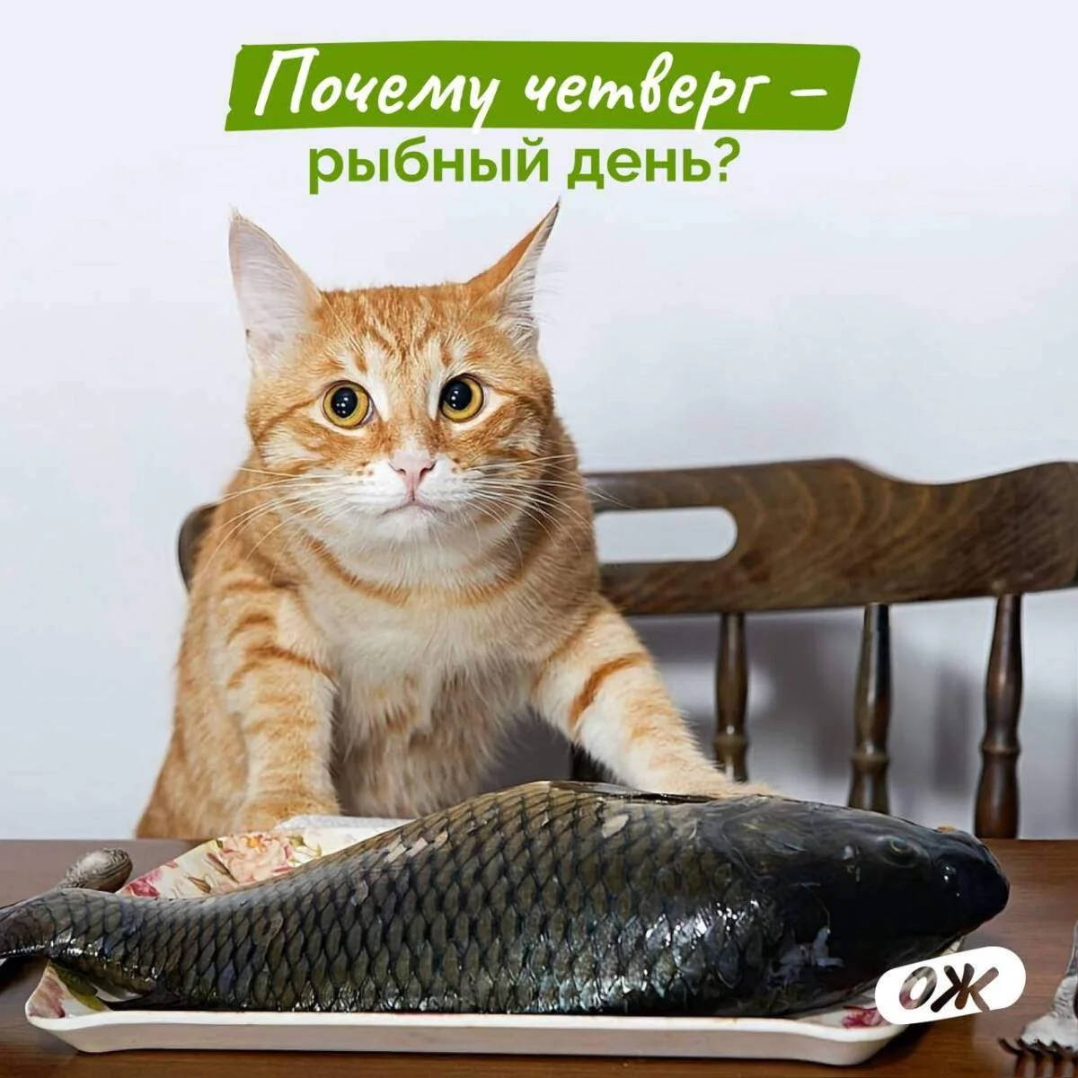 Сегодня в рубрике #РыбныйДеньЖКХ попробуем разобрать вопрос от Тамары Игоревны:

Коллеги, вопрос.
Со