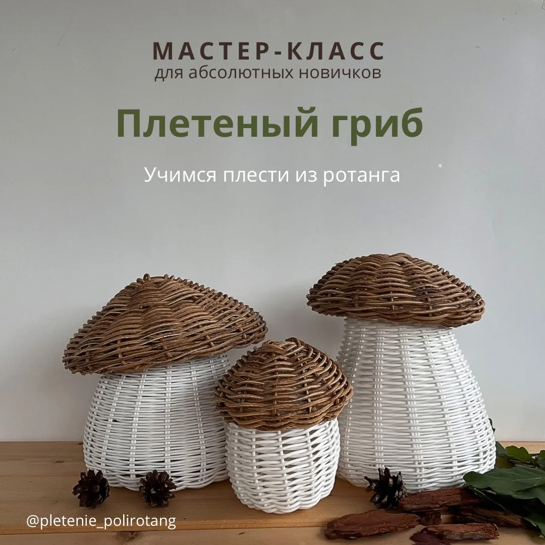 Мастер-класс «Плетеный гриб» в формате подробных видео уроков
.
✅Стоимость сейчас 430 руб
.
Размер г