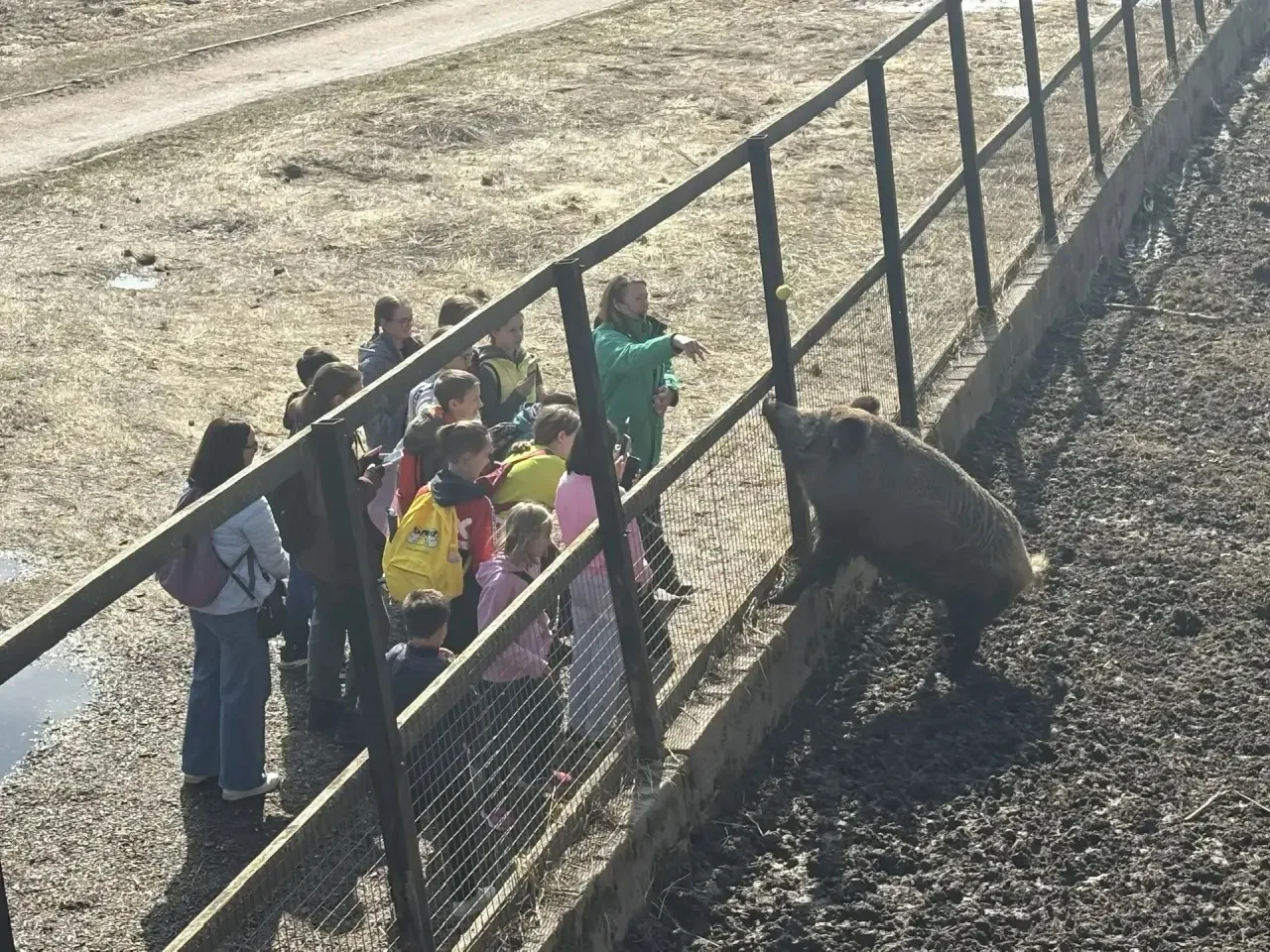 🌳Когда школьники идут в поход с рюкзаками овощей!   Знаете, что бывает, когда ребята с 4 по 6 класс 