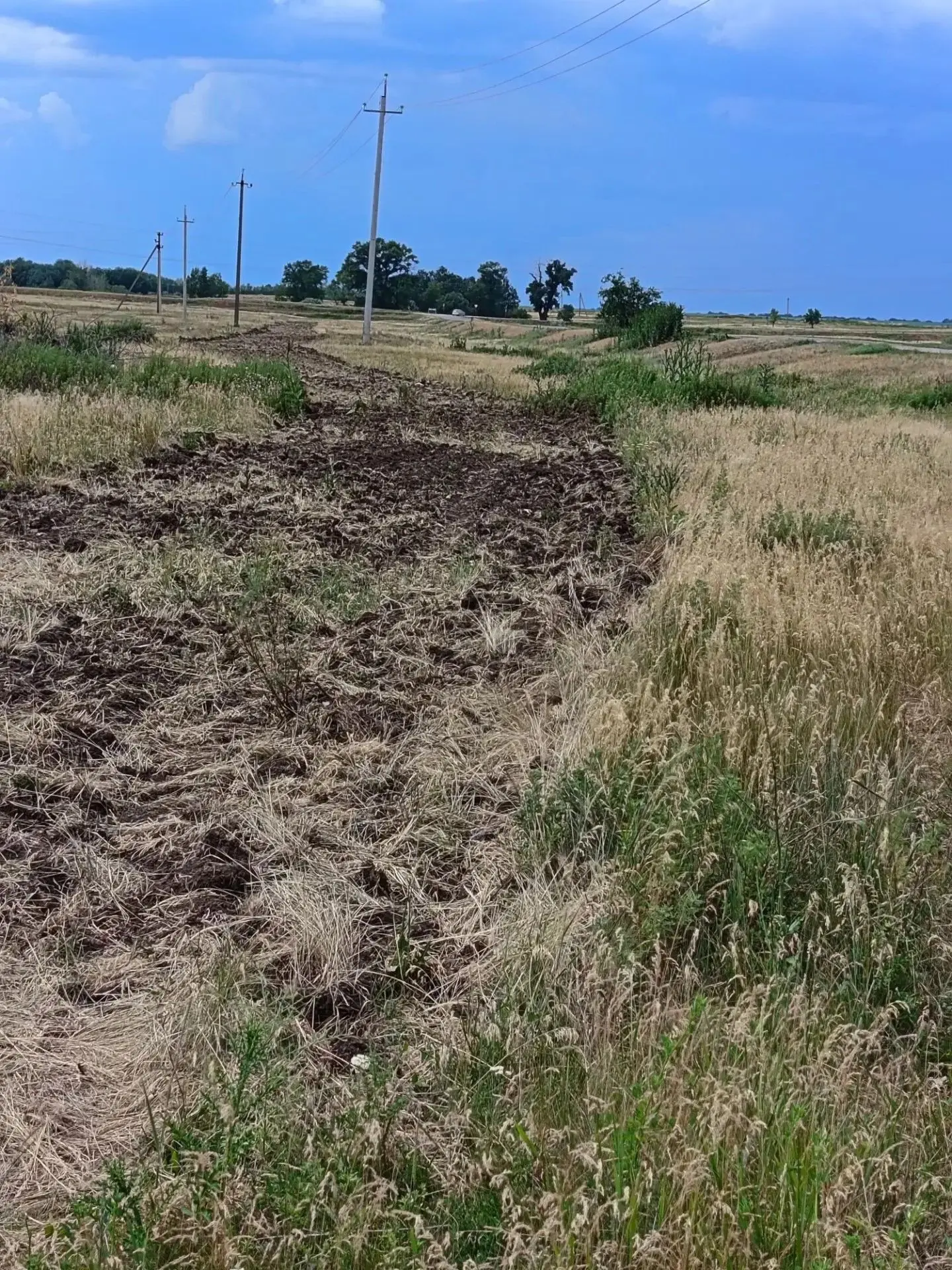 В селах района продолжаются работы по опашке

В Савельевке и Родионовке провели плановую опашку: обр