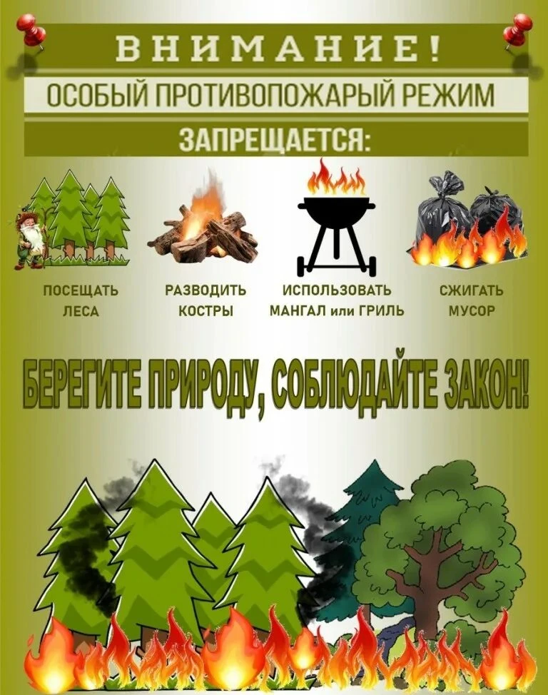 В Омской области официально вступает в силу запрет на жарку шашлыков