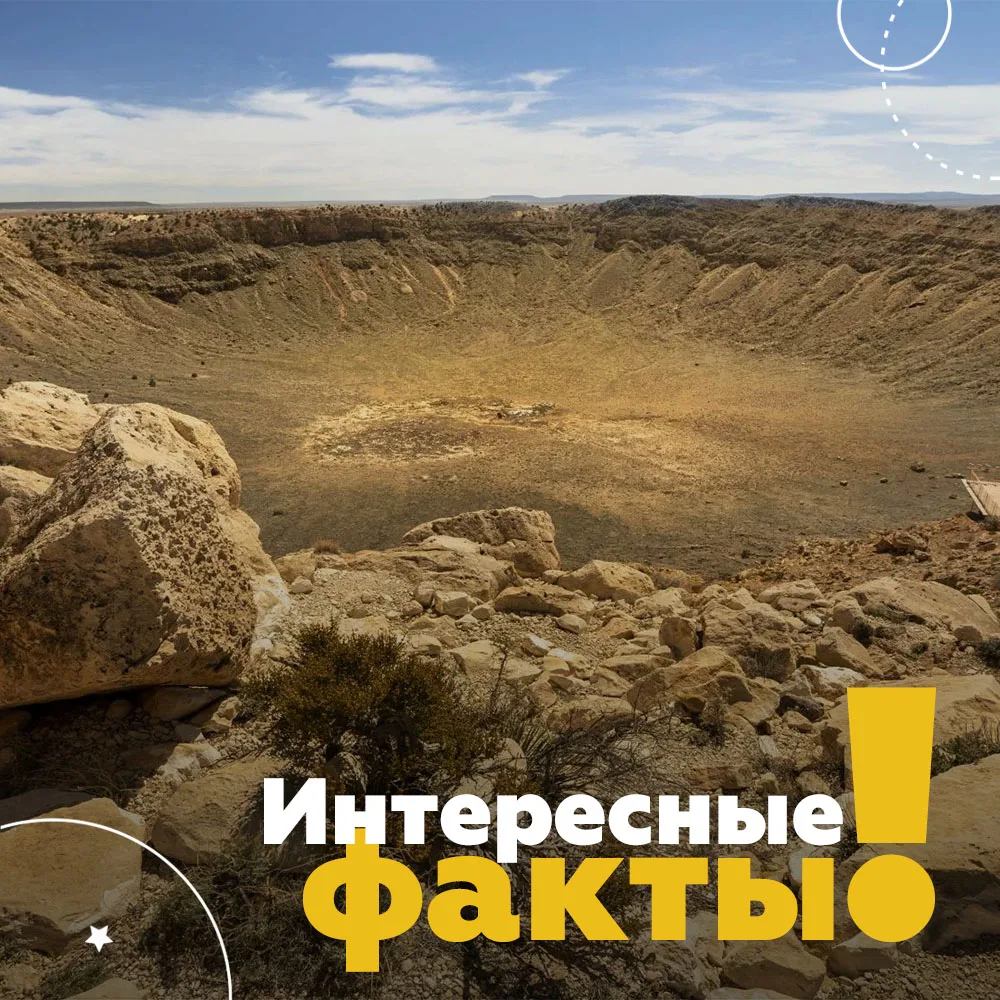 🌋🦖 Под кратером, убившим динозавров, 8 миллионов лет кипела жизнь 

66 миллионов лет назад астерои