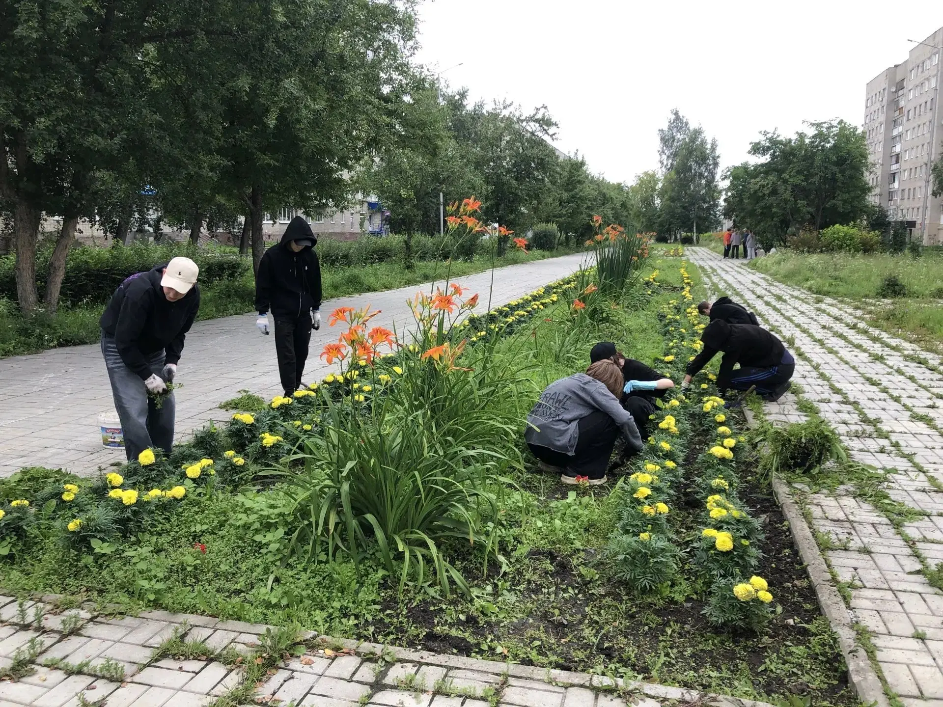 Второй день идёт операция "Чистые грядки". В борьбе с сорняками на клумбе по аллее Мира трудовой отр