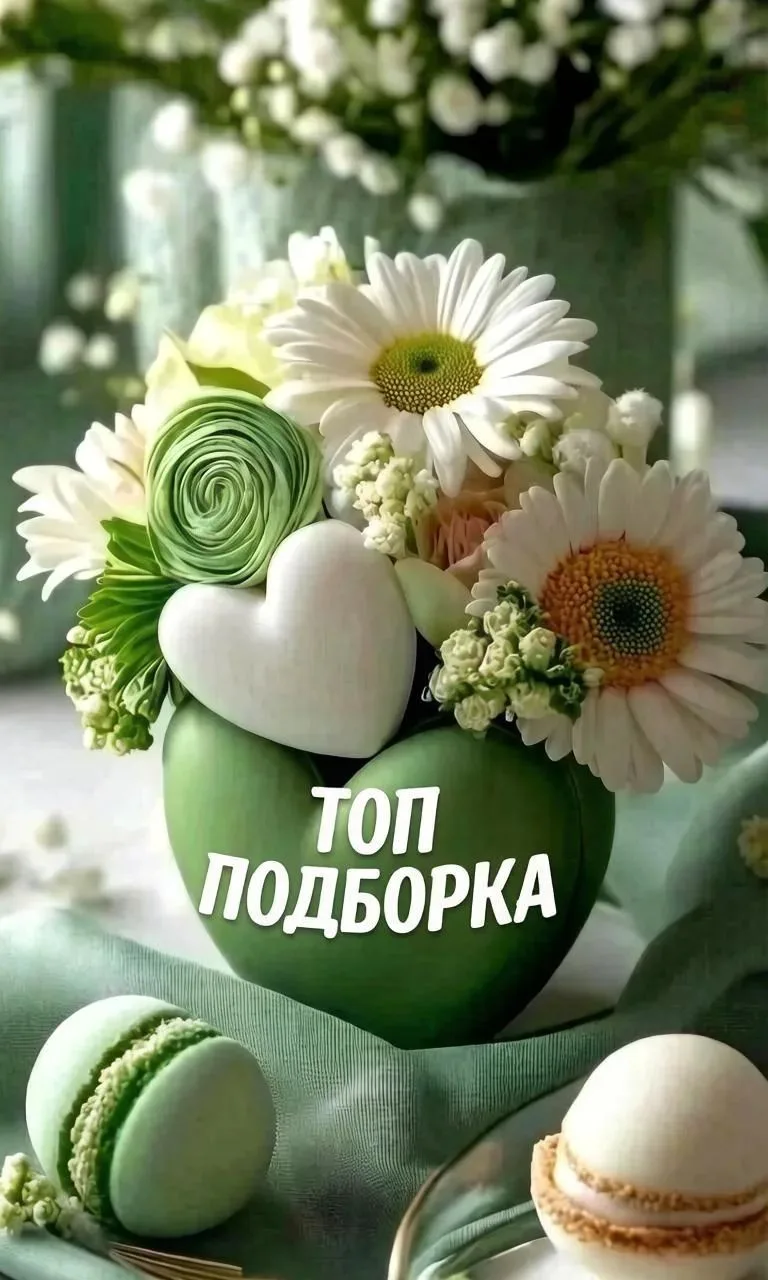 🌿✨🌿✨🌿✨🌿✨🌿✨🌿