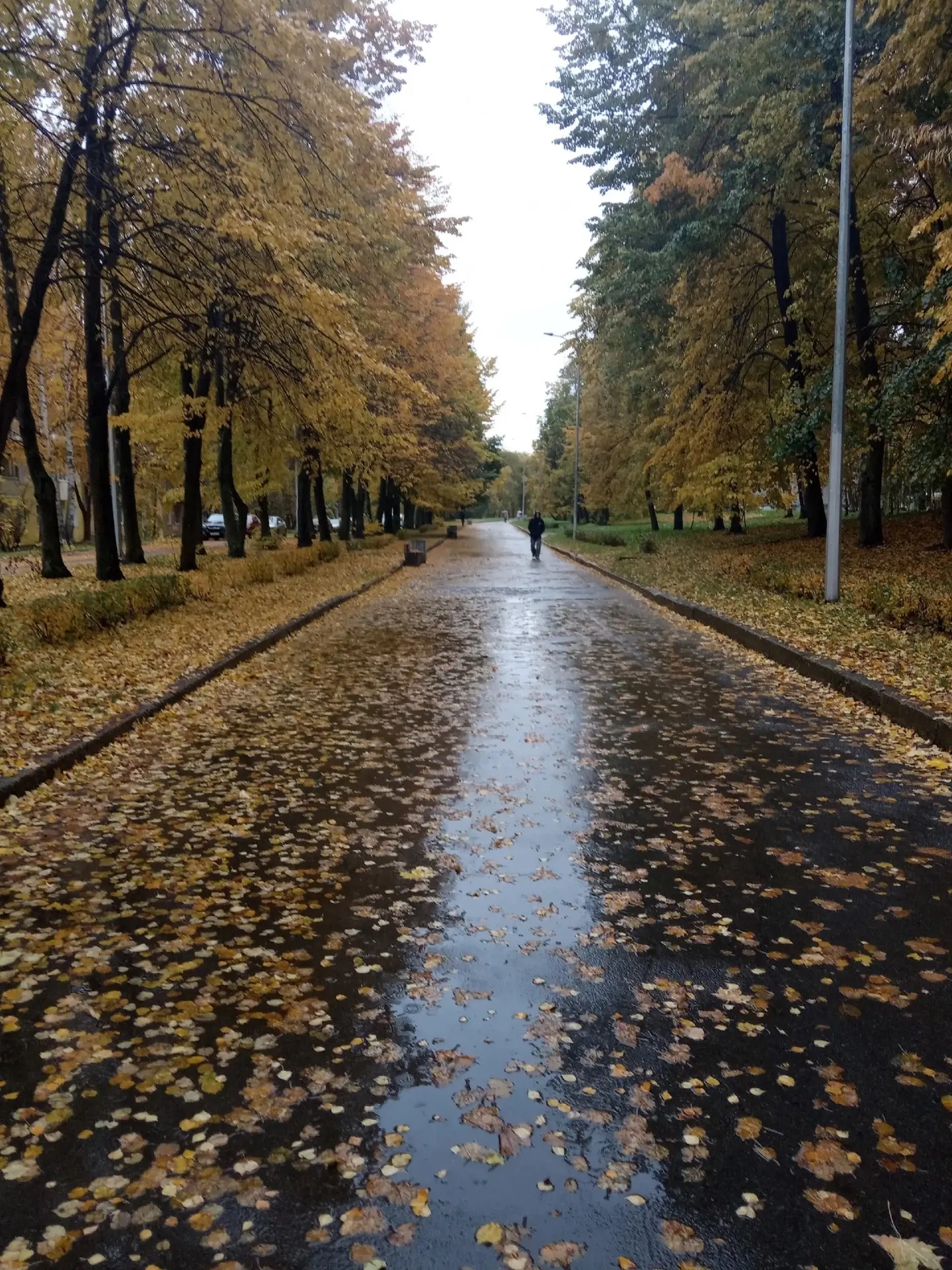 В Карелию пришло бабье лето