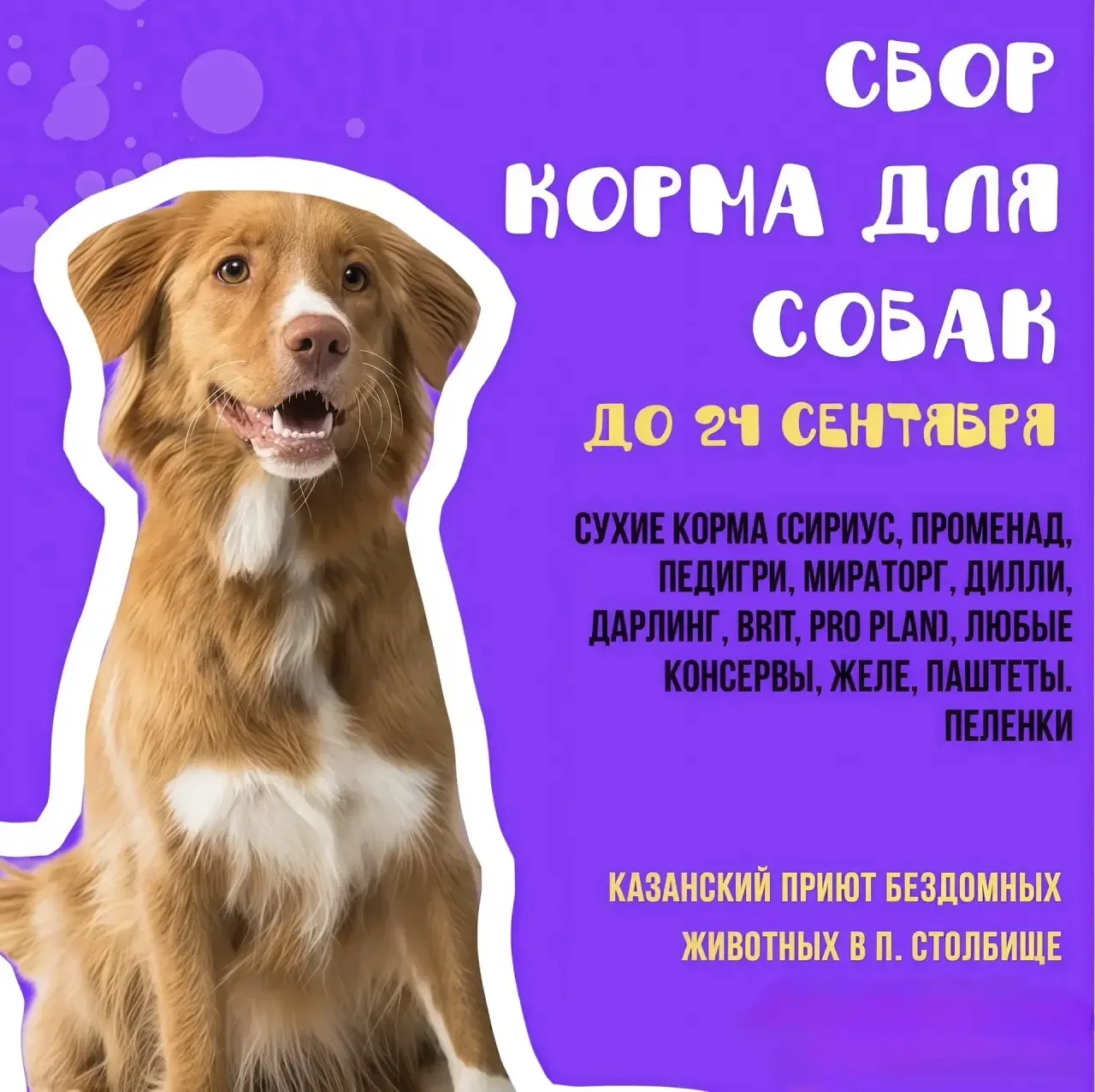 🤝 Хочешь почувствовать, что сделал что‑то по‑настоящему хорошее? Вот твой шанс!