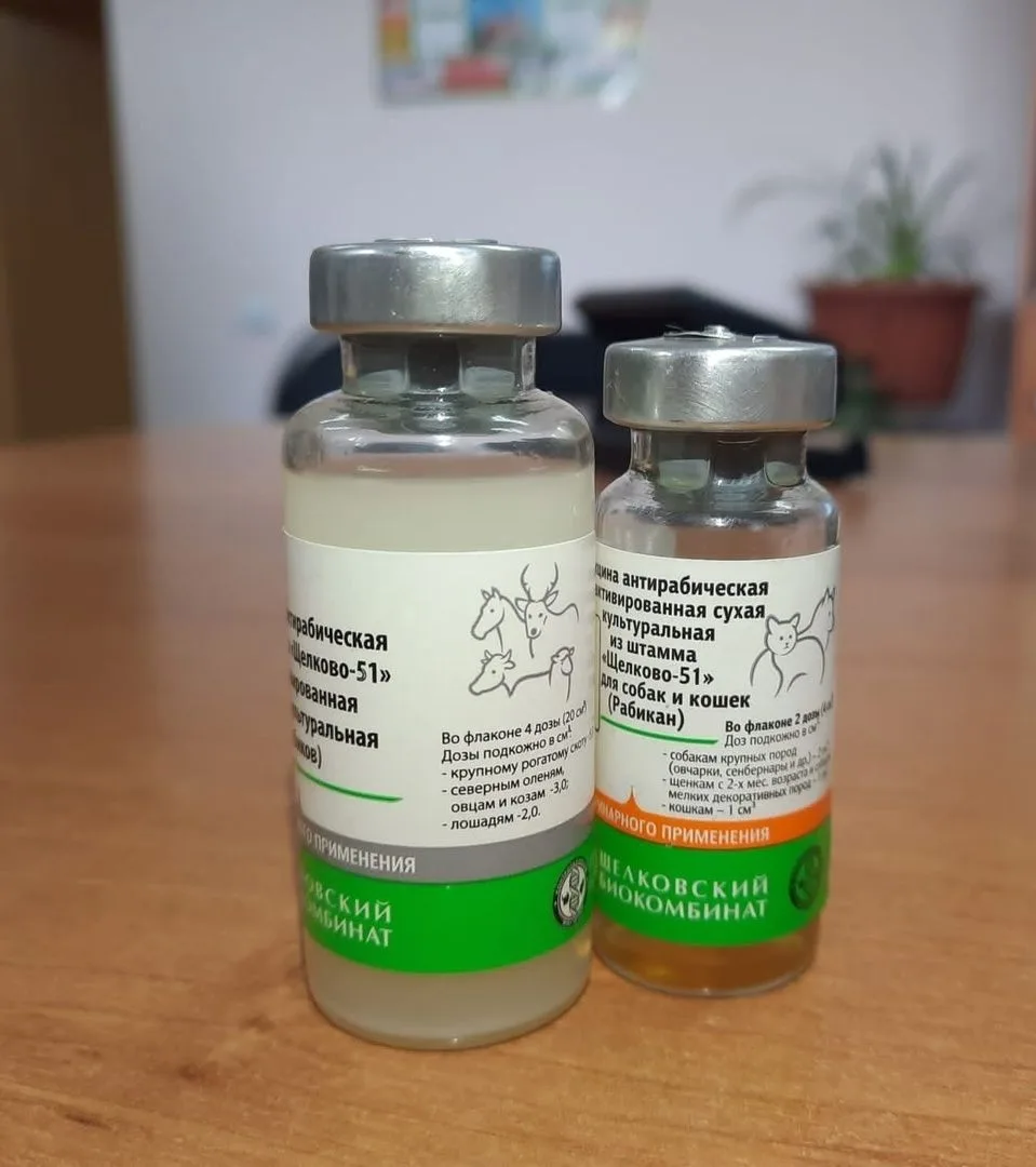 💉 Напоминаем, что в нашей ветеринарной клинике проводится бесплатная вакцинация кошек и собак проти