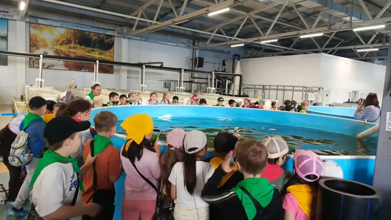 🐟 15-й день лагеря и наши приключения на осетровой ферме🐟

Сегодня ребята нашего лагеря отправилис