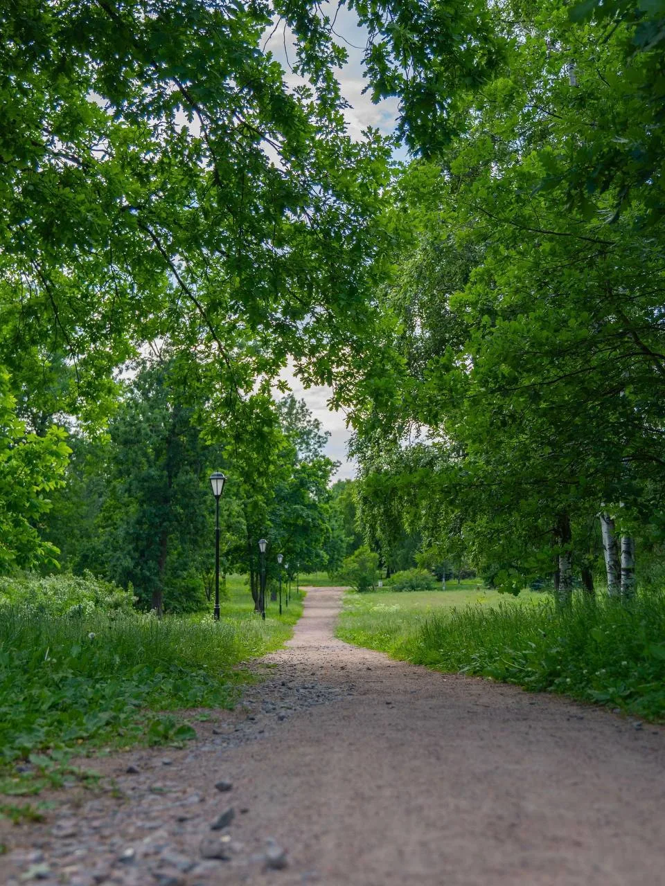 Летний парк Куракина дача🌳