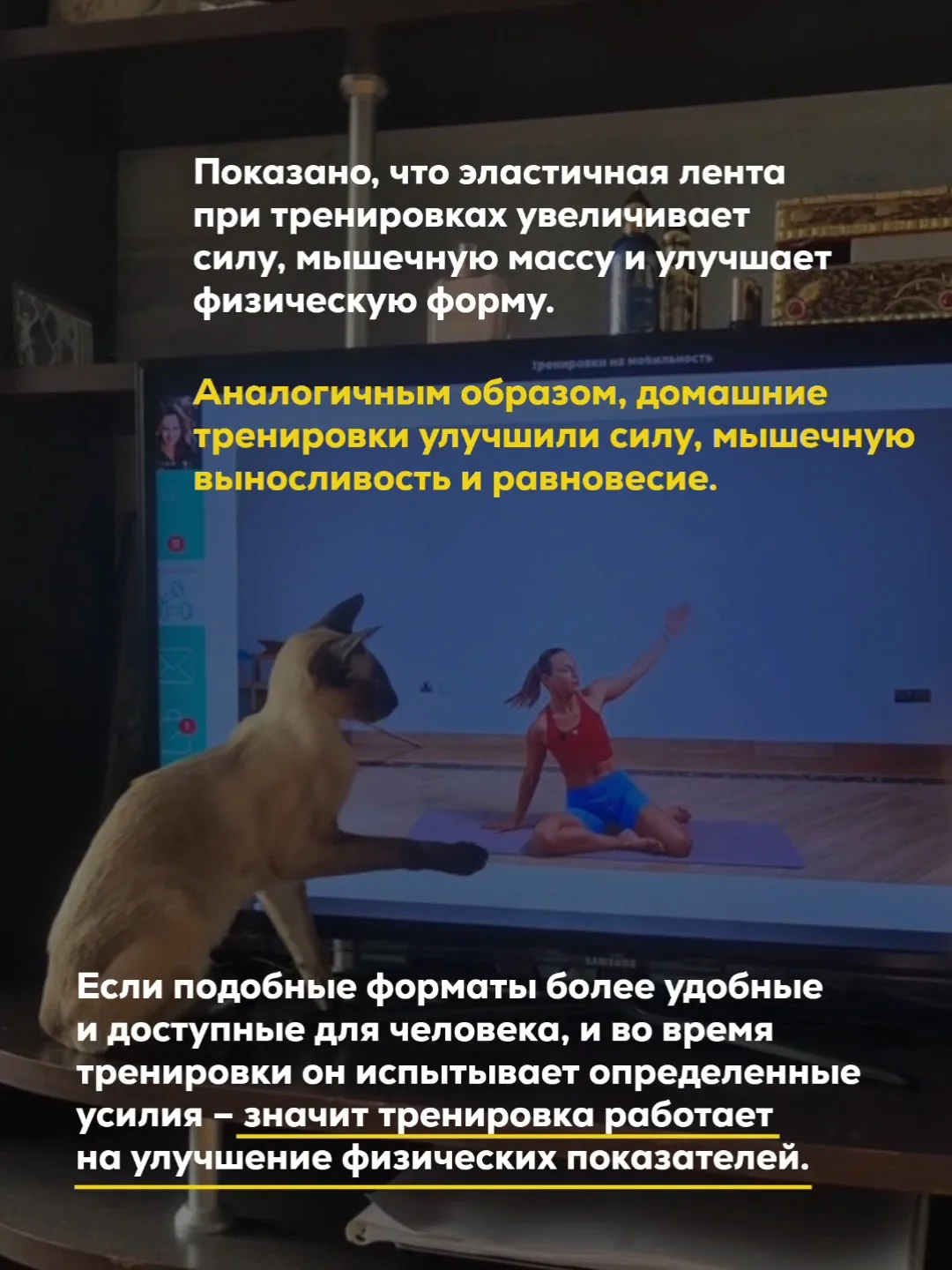 Всегда слежу за свежими исследованиями из мира науки, связанными со спортом 👩🏻‍💻 В марте этого года 